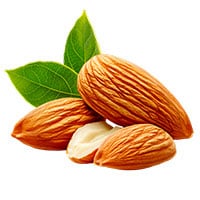 Stratos natural Ingredients