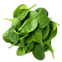 Stratos Ingredients